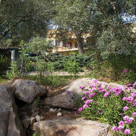 Chambre D'Hote Saint Remy Aramon Εξωτερικό φωτογραφία