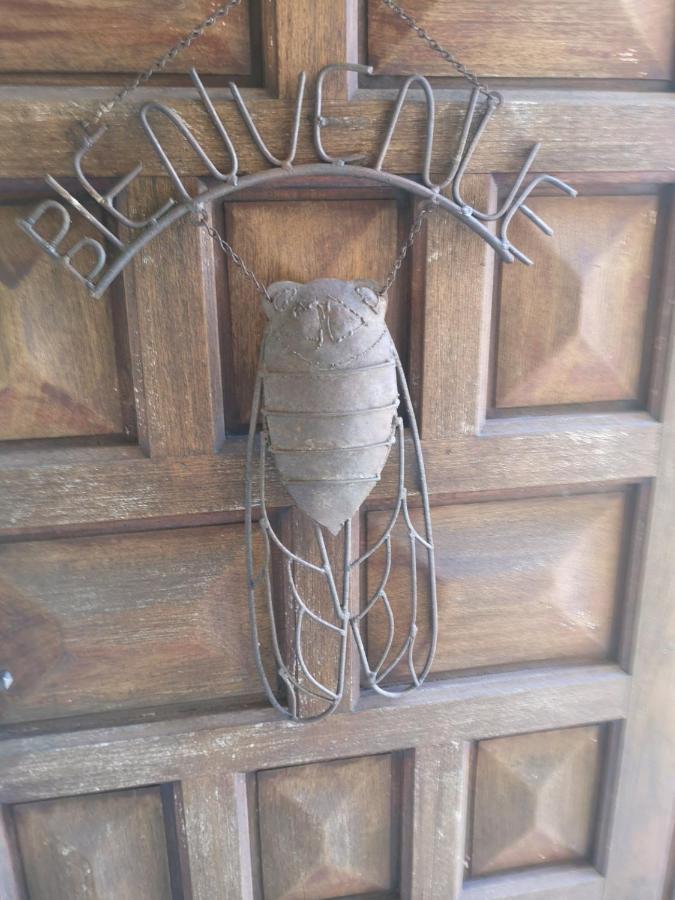 Chambre D'Hote Saint Remy Aramon Εξωτερικό φωτογραφία